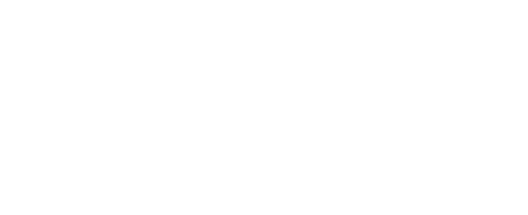 VYS